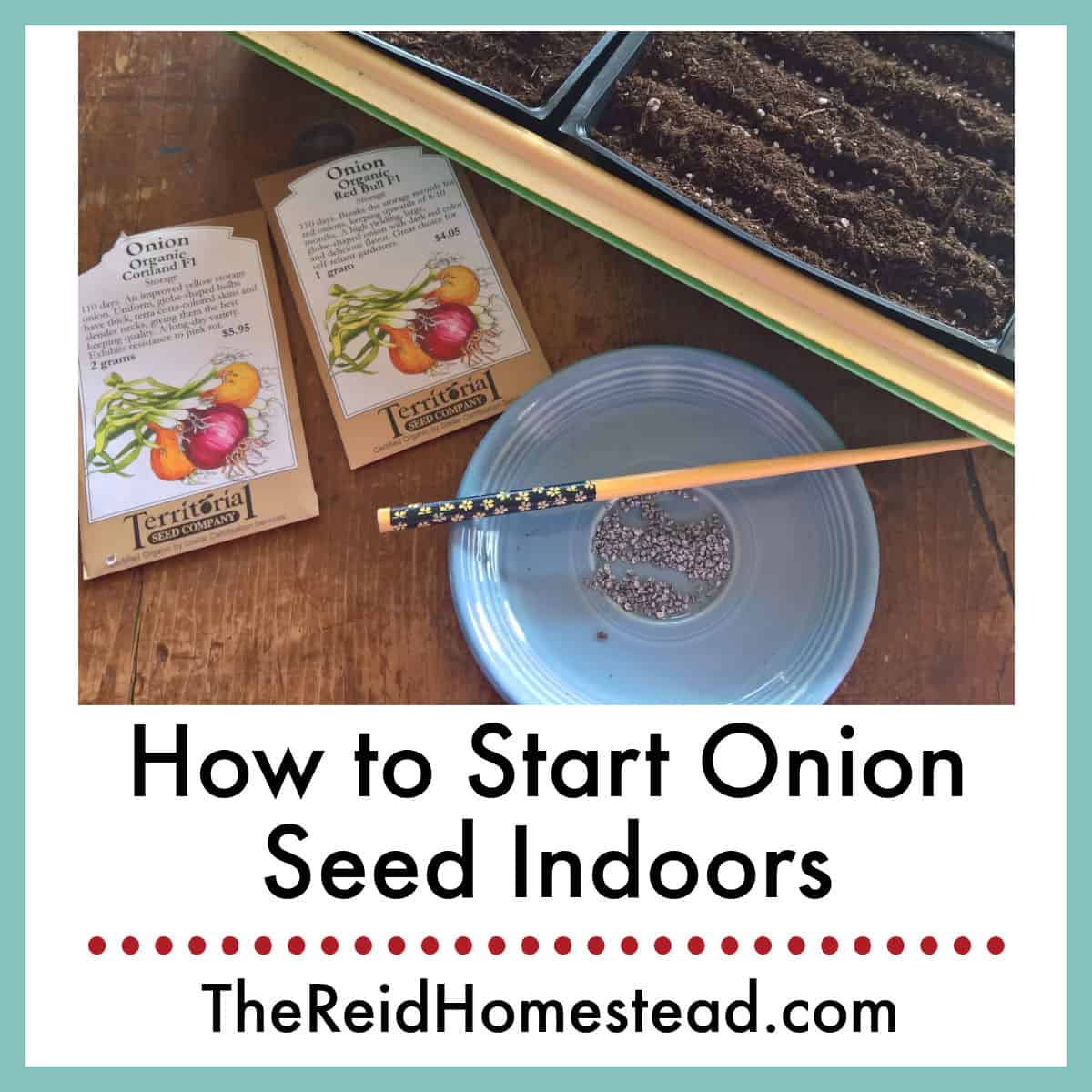 2 seed packets near a seed tray with a dish of onion seed with text overlay How to Start Onion Seed Indoors