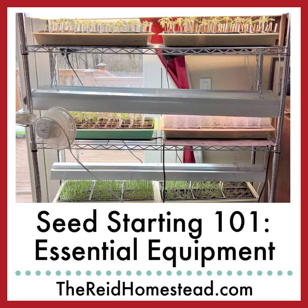 photo of seed starting rack with trays of seed starts on it with text overlay Seed Starting 101: Essential Equipment