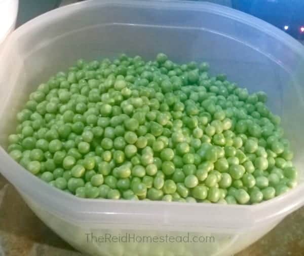 a bowl full of freshly shelled peas from the garden