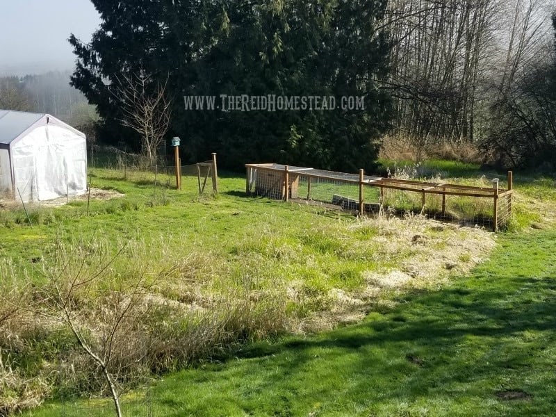 March To Do List-So many things! Our Duck Pen Enclosure built over our stream. The Reid Homestead