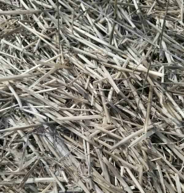 close up of straw mulch in the garden