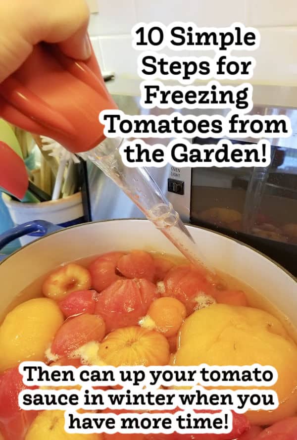 How to Freeze Tomatoes