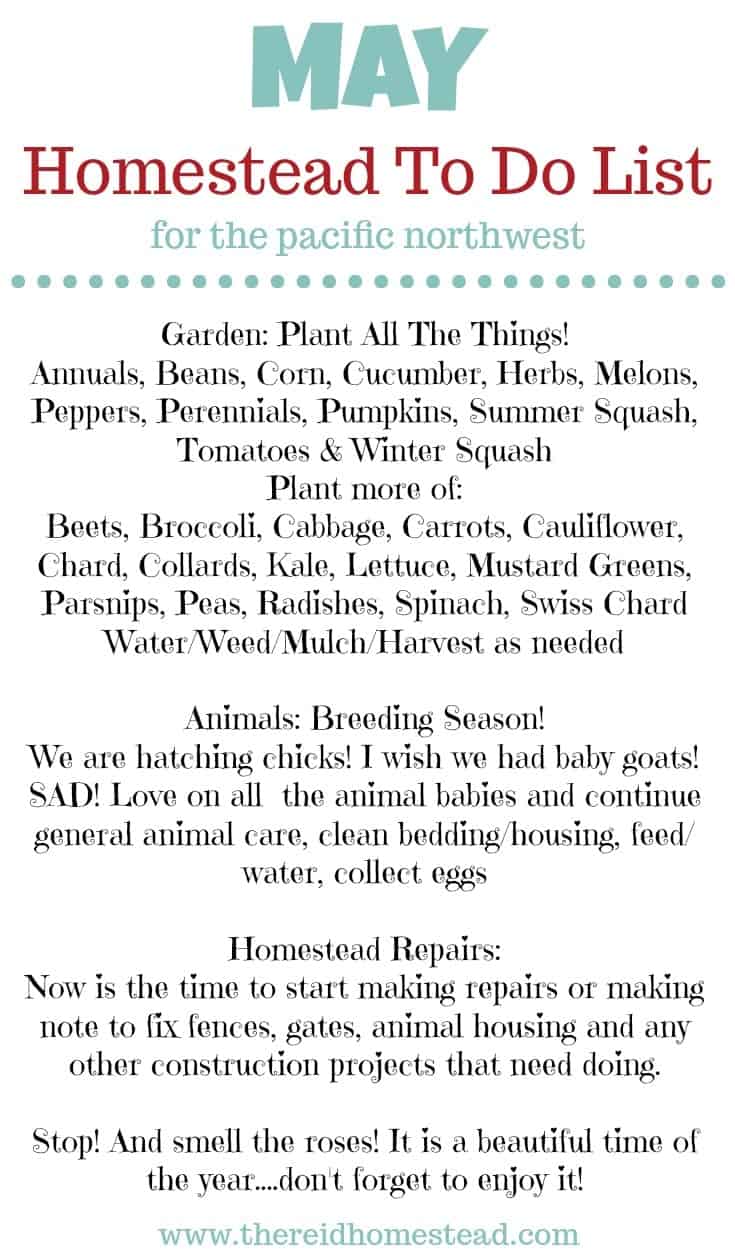 May is Plant All The Things Month! Come see our May Homestead To Do List for the Pacific Northwest and make sure you check off all the boxes! - The Reid Homestead