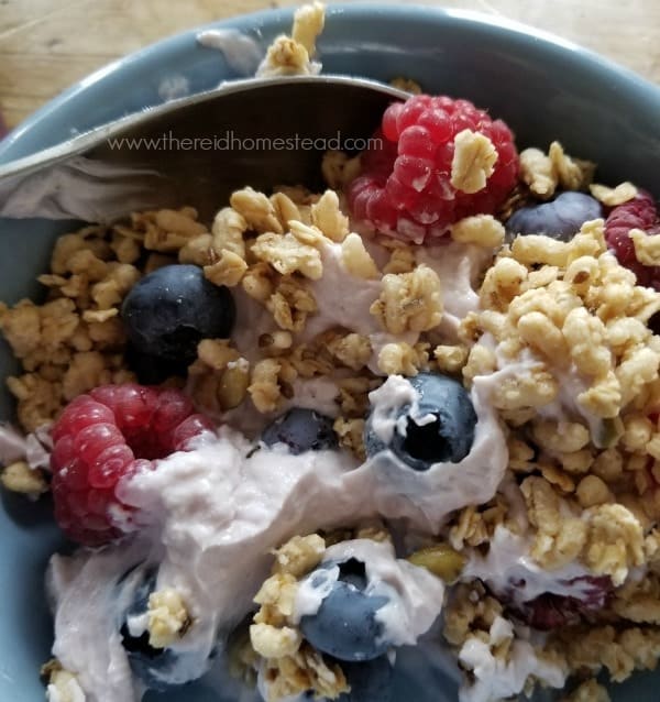 bowl of yogurt with blueberries and raspberries on top with granola