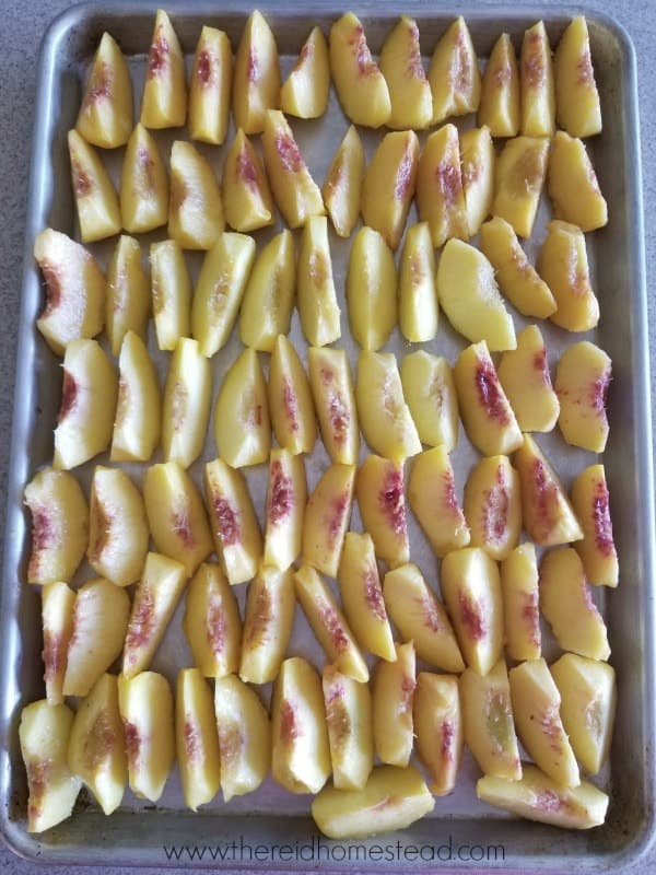 sliced peached on cookie sheet