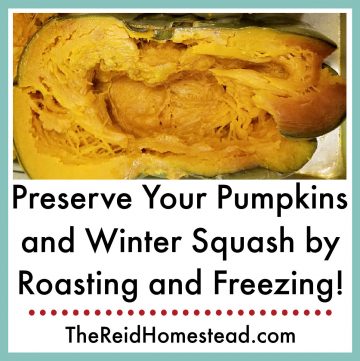 close up of a roasted half of pumpkin with text overlay Preserve Your Pumpkins and Winter Squash by Roasting and Freezing!