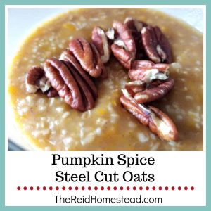 close up of pumpkin spice steel cut oats with pecans on top with text overlay Pumpkin Spice Steel Cut Oats