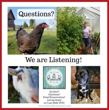 Homesteading Questions? I can help! Let me know! -The Reid Homestead #homesteadquestions #helponthehomestead #homesteading #homesteader #homesteadlife