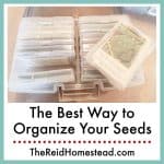 photo of seed packets stored in plastic photo storage boxes with text overlay The Best Way to Organize Your Seeds