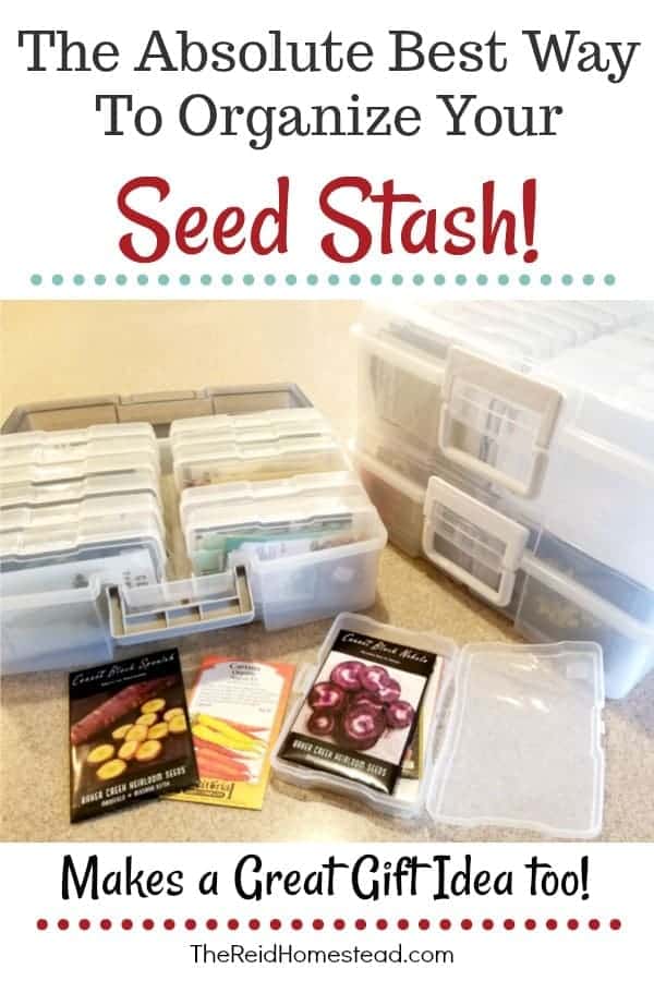 Are you a gardener with a messy seed stash problem? Check out the best system out there on how to keep your seed stash organized! #seeds #seedaddict #seedstash #getorganized #gardenergiftidea
