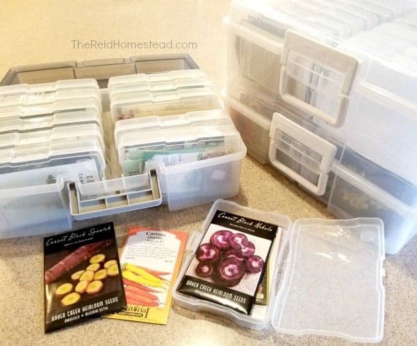 photo boxes to organize your seeds