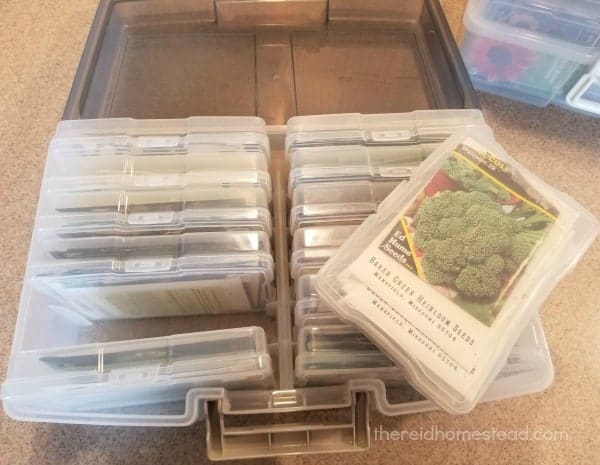get your seed stash collection organized with photo storage boxes and case