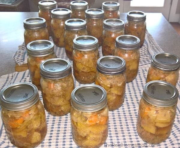 15 Reasons Wh You Should Be Pressure Canning on Your Homestead. Don't be scared! Pressure Canning is a must do and I will tell you why! ~The Reid Homestead #pressurecanning #canning #foodpreservation #homesteading #preservetheharvest #foodinjars #selfsufficient #preparedness #canningbeefstew