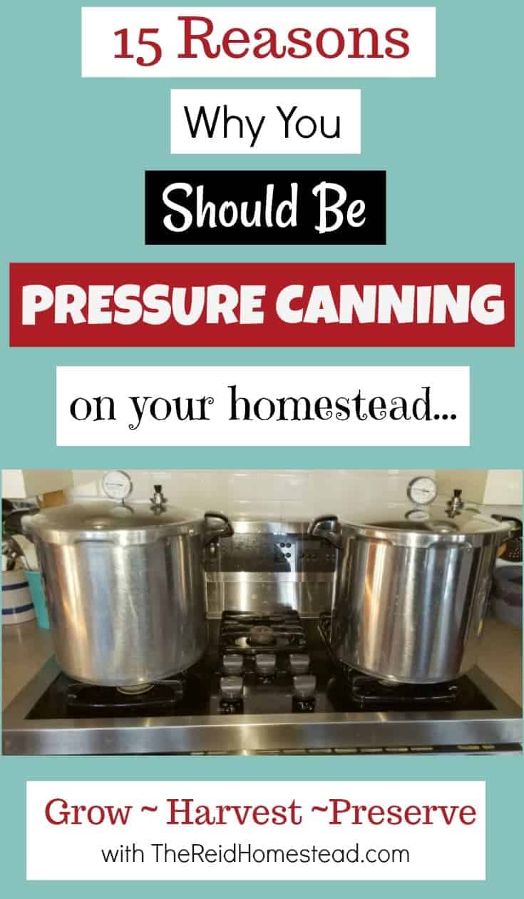 How to Use A Pressure Canner Safely - The House & Homestead