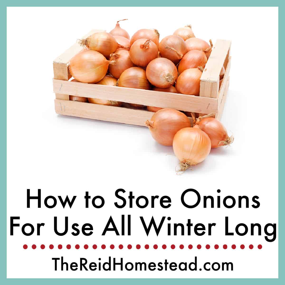 a wooden crate holding onions with text overlay How to Store Onions for Use All Winter Long