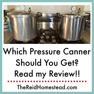2 pressure canners on the stove with text overlay Which Pressure Canner Should You Get