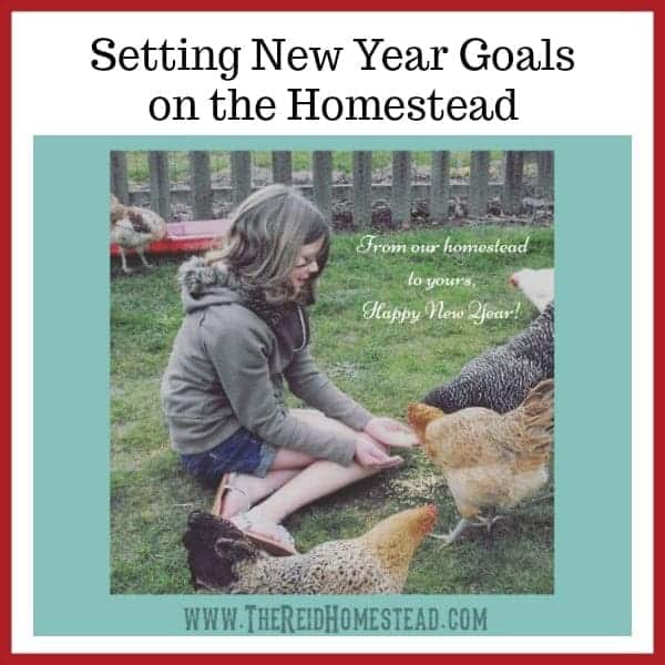 New Year Goals on the Homestead - The Reid Homestead #newyeargoals #goals #goalsetting #homesteadgoals #gardeninggoals