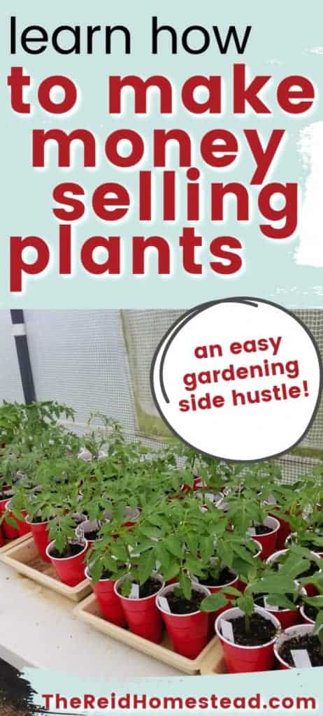 How To Make Money Growing Plants At Home An Easy Side Hustle