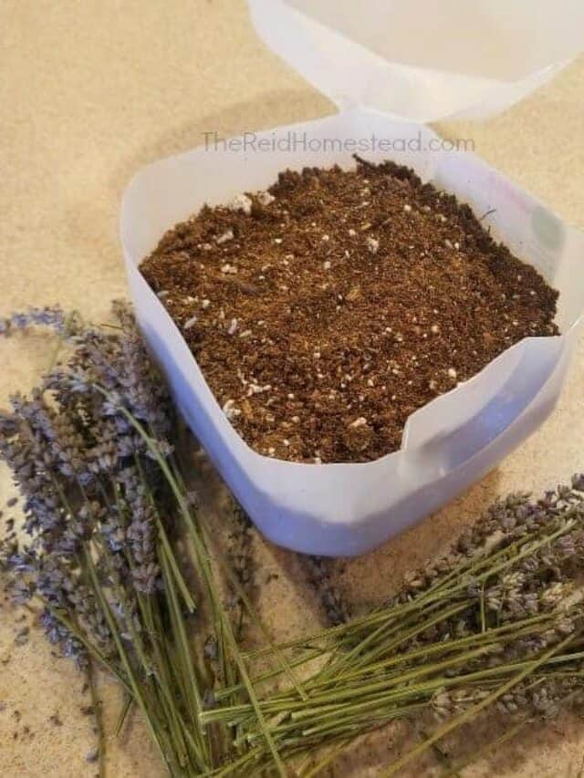 seed-starting-schedule-for-the-pnw-garden-zone-8b-the-reid-homestead