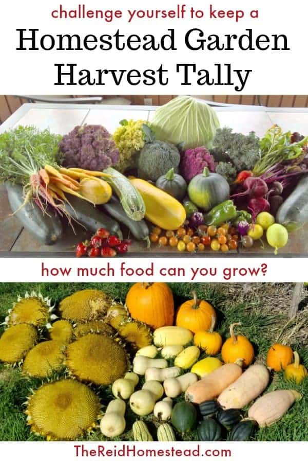 pinterest graphic with garden harvest images and text overlay Challenge yourself to keep a Homestead Garden Harvest Tally 