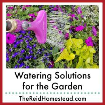 a hose sprayer watering flowers, text overlay Watering Solutions for the Garden