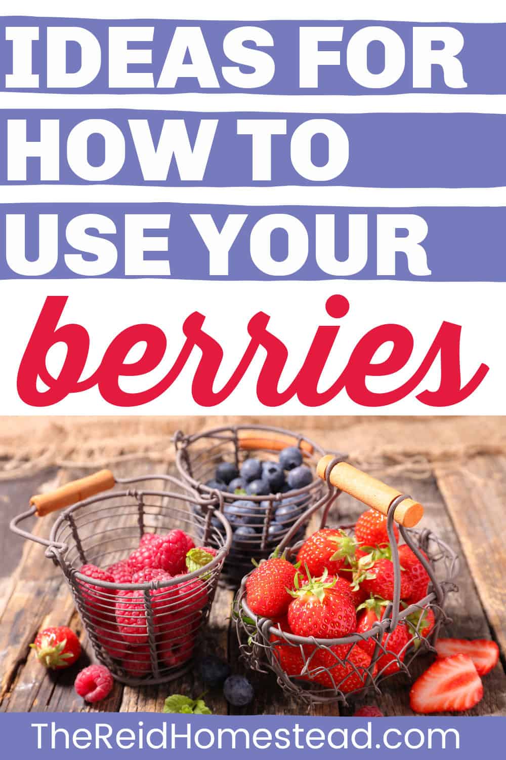 bowls of blueberries, raspberries and strawberries with text overlay Ideas for How to Use Your Berries