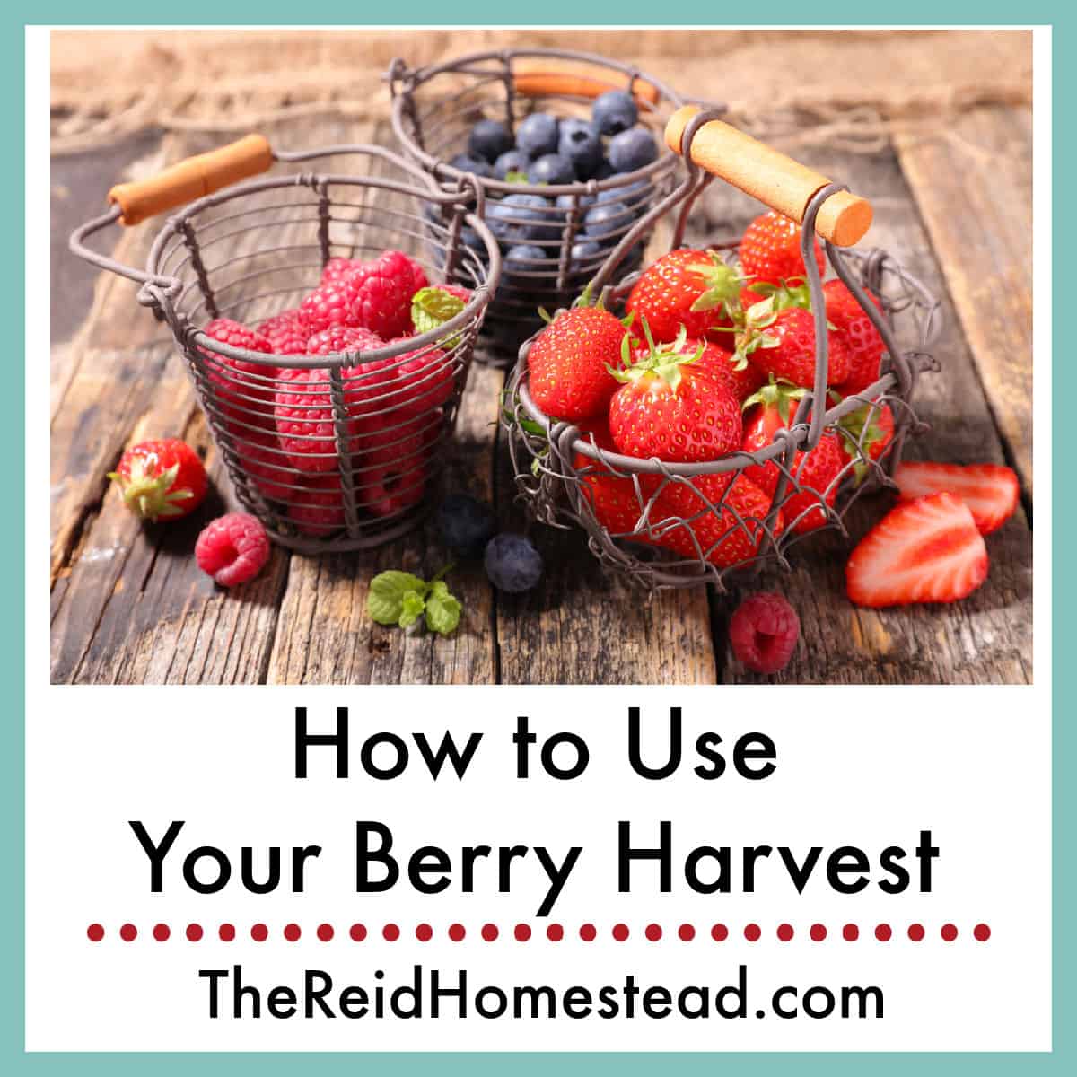 3 bowls one each full of raspberries, blueberries, strawberries with text overlay how to use your berry harvest