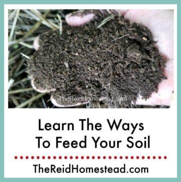 a close up of a hand full of healthy soil, text overlay Learn The Ways to Feed Your Soil