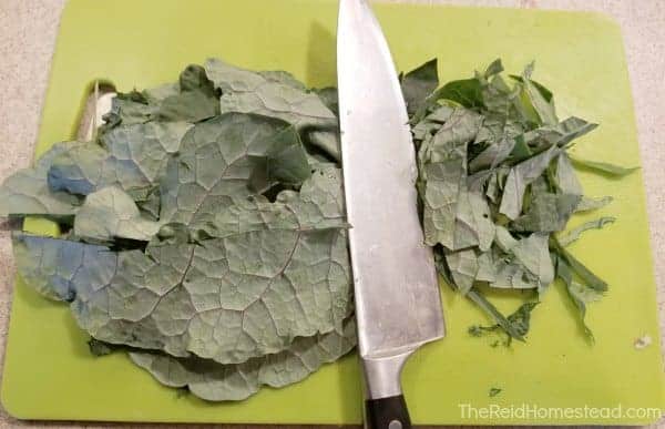 chopping kale leaves