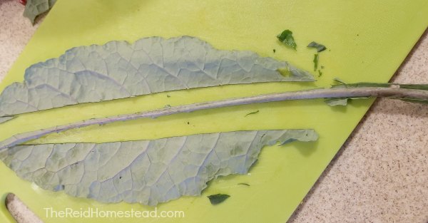 slicing the spine out of a kale leaf