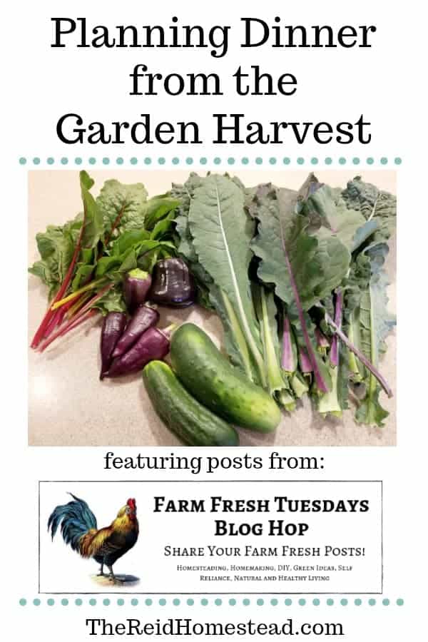 garden harvest with text overlay Planning Dinner from the Garden Harvest