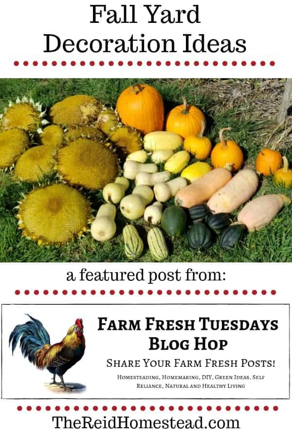 fall garden harvest with text overlay Fall Yard Decoration Ideas from the Farm Fresh Tuesday Blog Hop