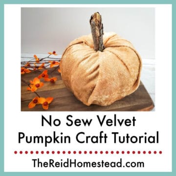 close up of a finished No Sew Velvet Pumpkin on a cutting board with faux fall foliage stems, text overlay No Sew Velvet Pumpkin Craft Tutorial