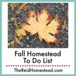 a fall colored fallen maple leaf on gravel, text overlay Fall Homestead To Do List