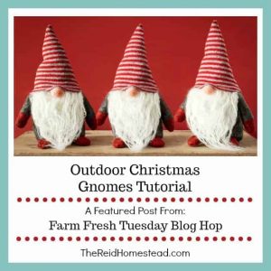 3 christmas gnomes with text overlay Outdoor Christmas Gnomes tutorial