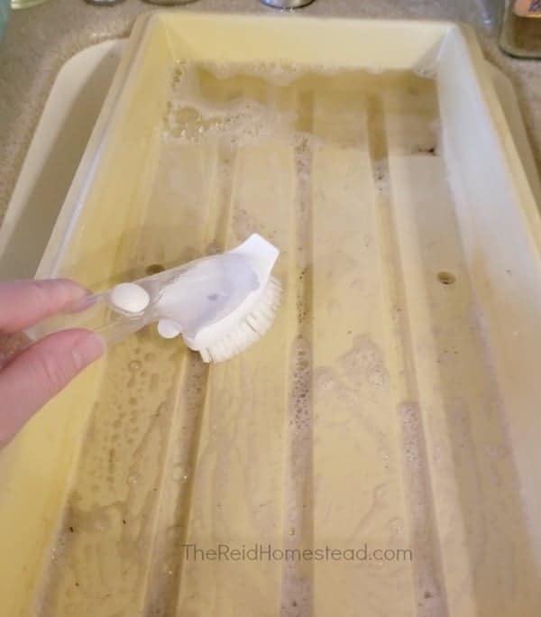 a dirty plant tray being scrubbed clean with a scrub brush