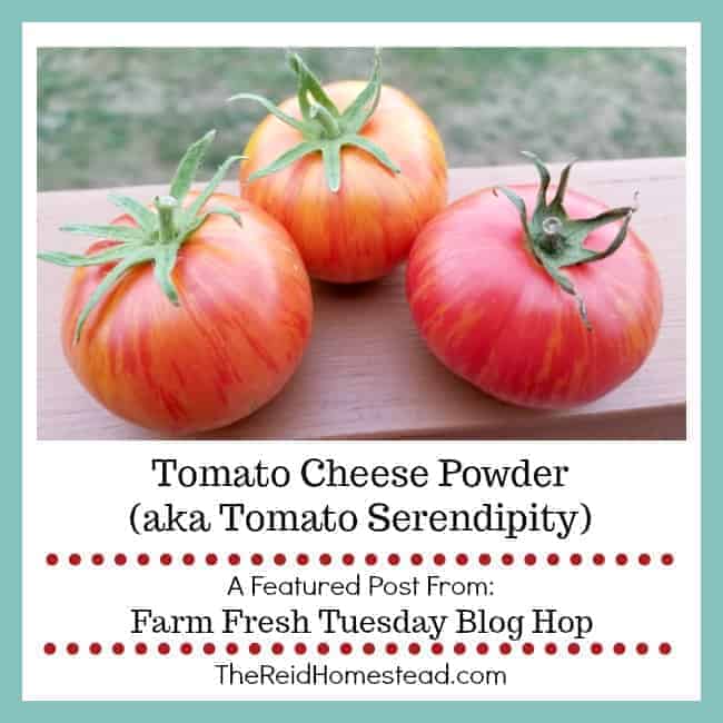 3 ripe tomatoes with text overlay Tomato cheese powder aka tomato serendipity