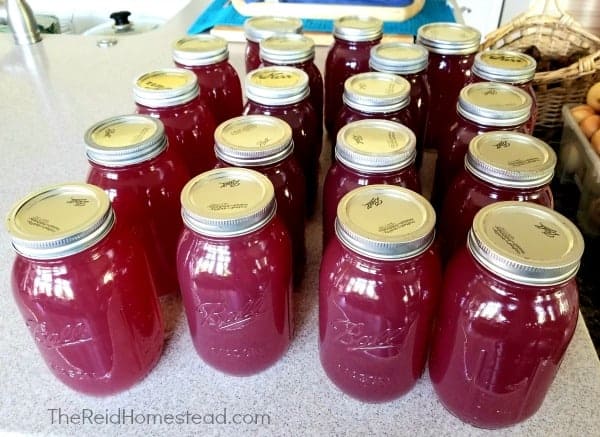 a batch of home canned grape juice that could be used in smoothies