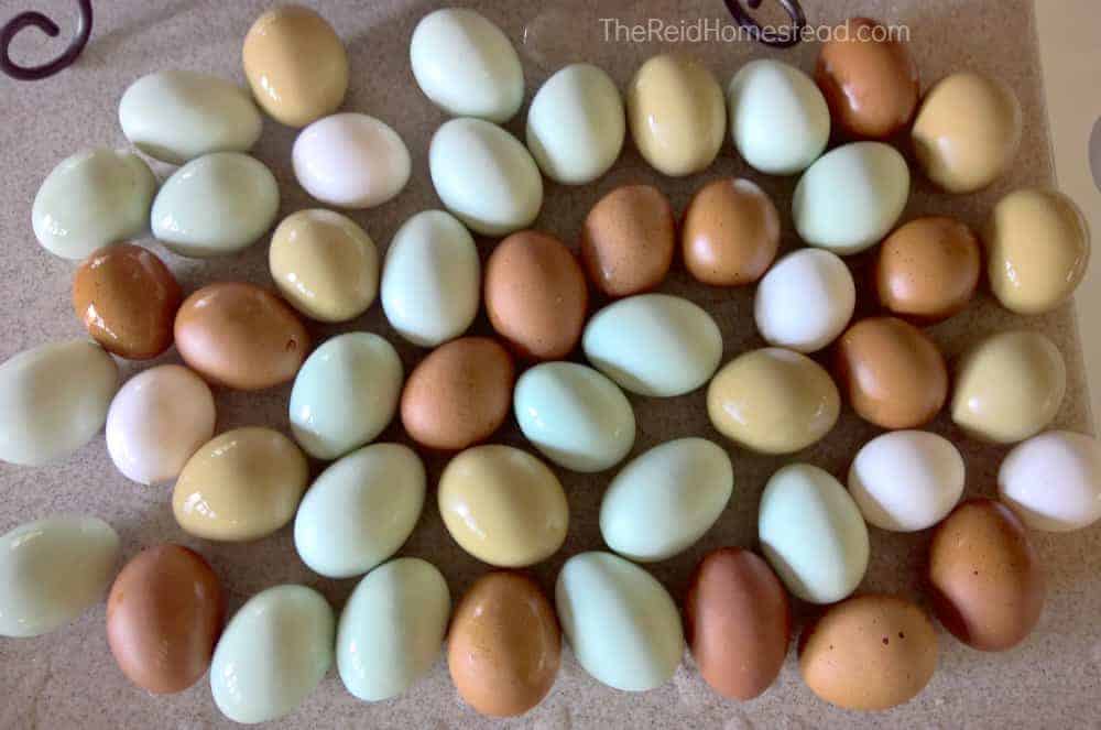 an assortment of colorful eggs on the counter top