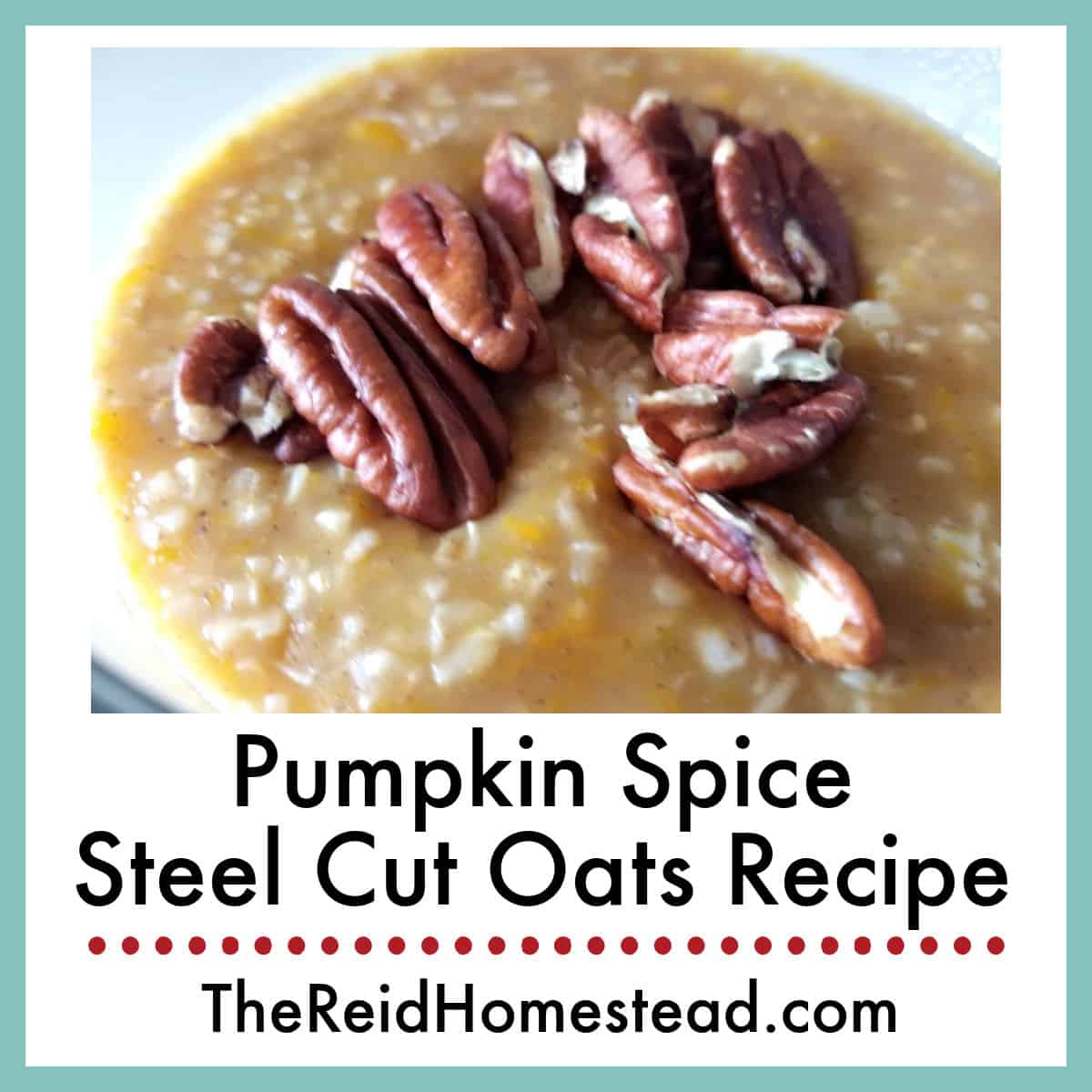 close up of a bowl of pumpkin spice steel cut oats with pecans on top, text overlay Pumpkin Spice Steel Cut Oats Recipe