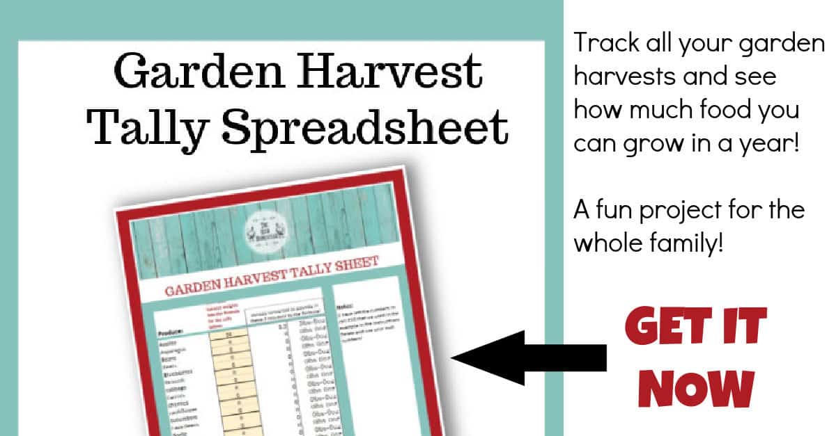 Garden Harvest Tally Spreadsheet - The Reid Homestead