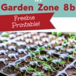 close up photo of a seedling tray, text overlay A guide for Starting Seeds in Garden Zone 8b - Freebie Printable