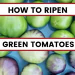 dish of green tomatoes with text overlay 5 Methods- How to Ripen Green Tomatoes - Plus other ideas on how to use them