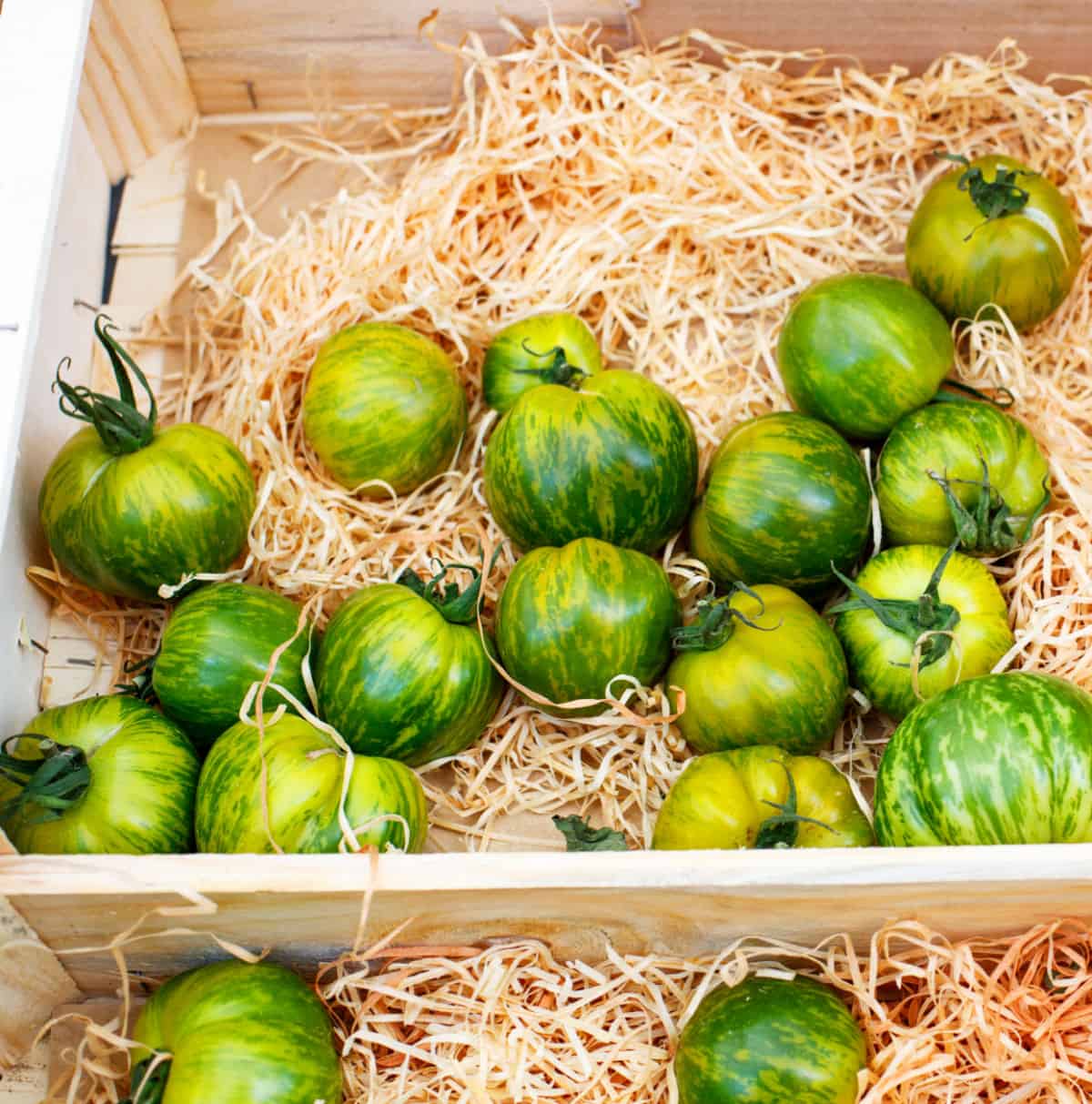 a wood crate filled with straw and green striped tomatoes