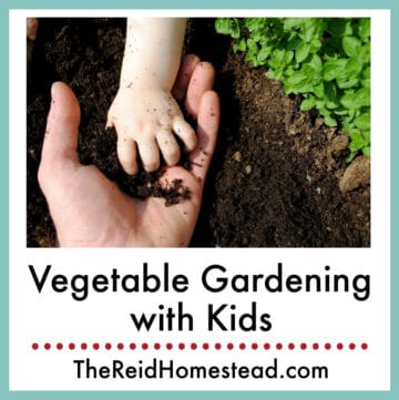 adult and childs hand in garden soil with text overlay Vegetable Gardening with Kids