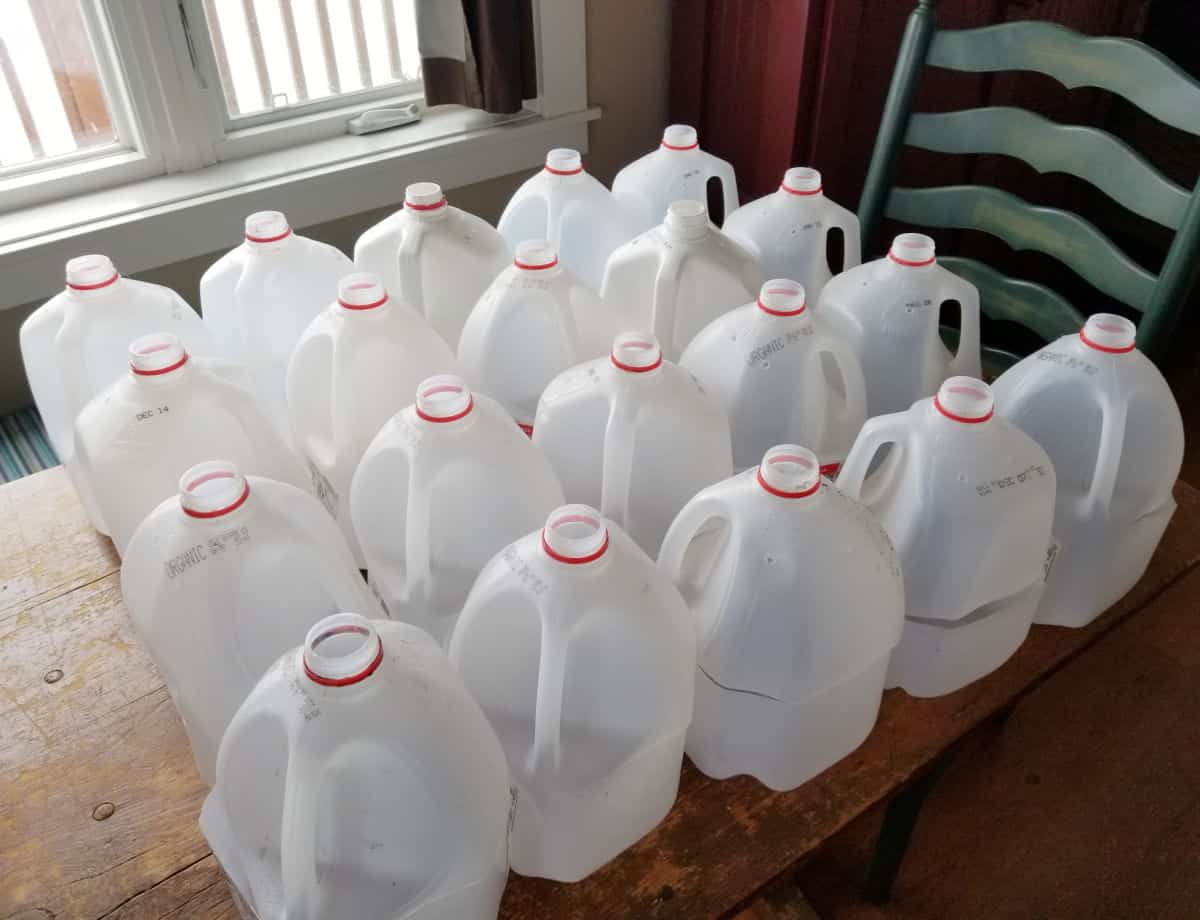 a group of milk jugs collected for winter sowing