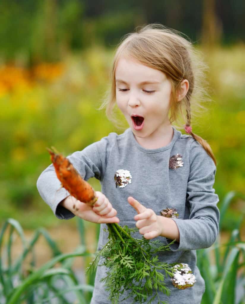 a surprised girl harvesting a very large carrot in the garden