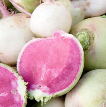 close up of pile of watermelon radishes with some of them cut in half