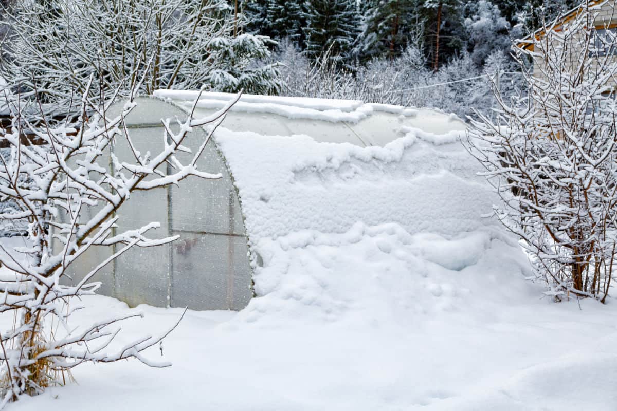 a snow covered greenhouse
