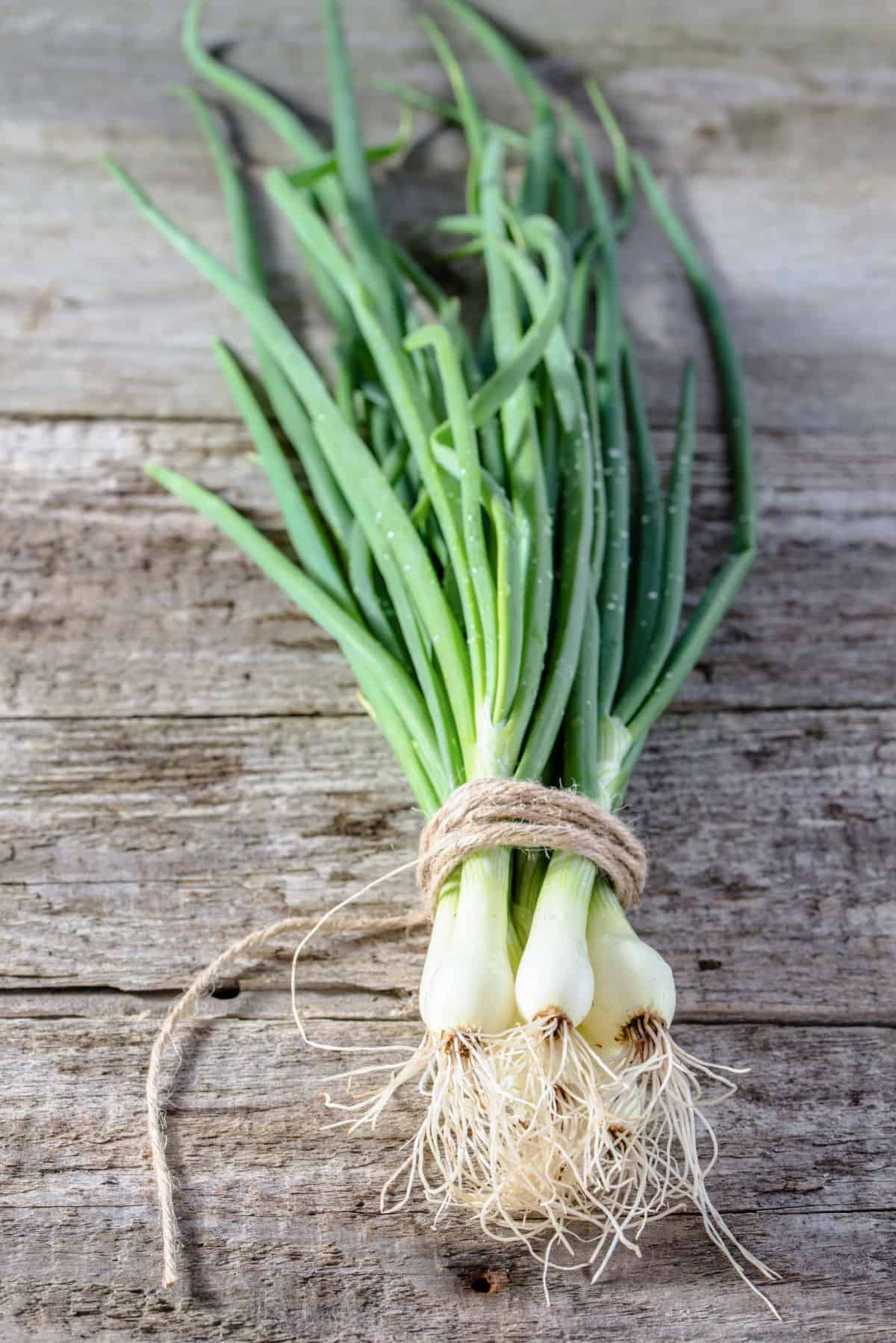 Bunch of green onion on wooden table